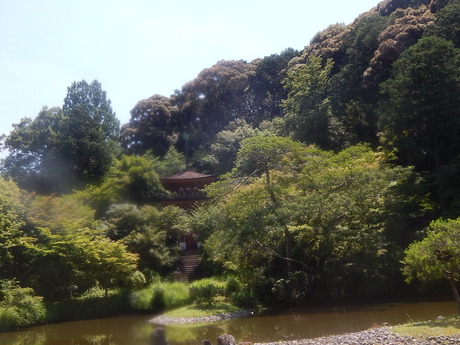 DSCN8669