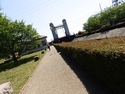 s-P4220124fushimi