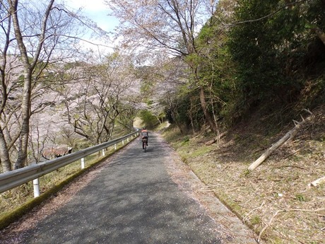 s-P4130395higashiyo