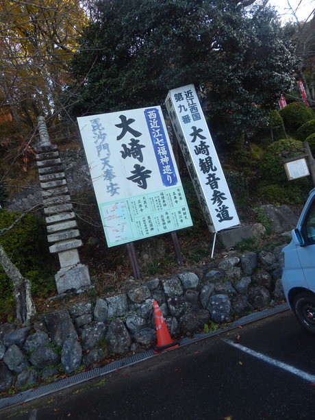 DSCN6578