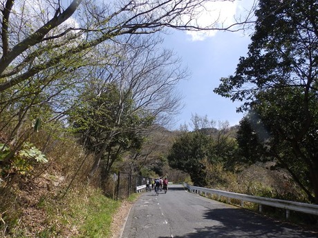 s-P4070160heguri