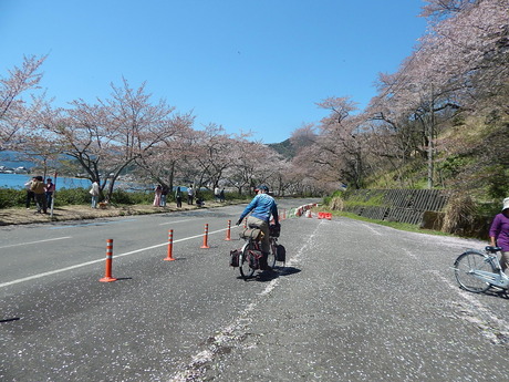 DSCN6618