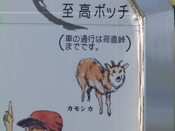 s-P9180876takabocchi
