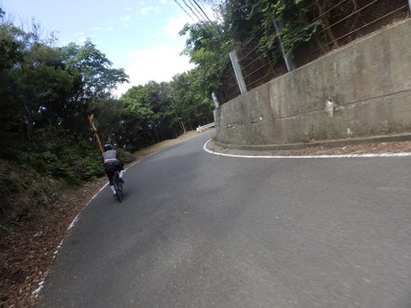 s-P7060193awajishima