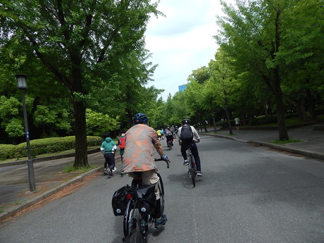 DSCN6542