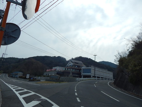 DSCN5106