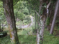 s-P6100327toei