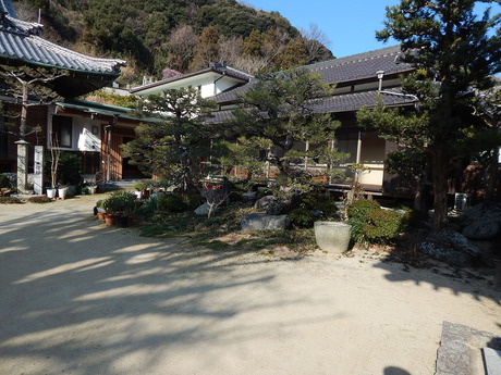 DSCN3386