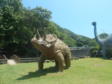 DSCN8426