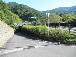 s-P8130019shikoku
