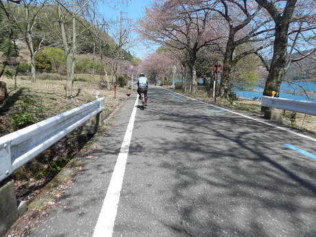 DSCN6622