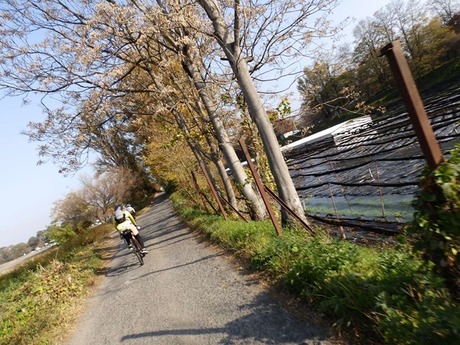 s-PB051314nagano