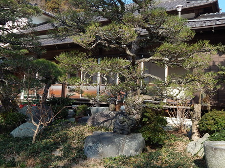DSCN3387