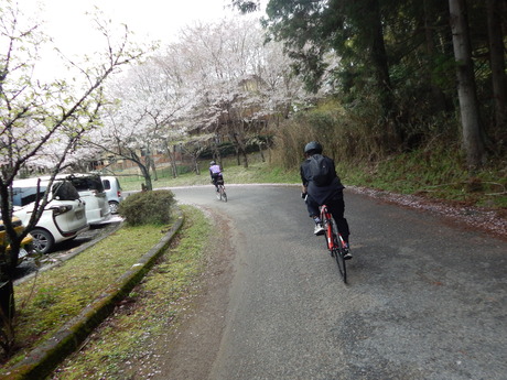 DSCN6280