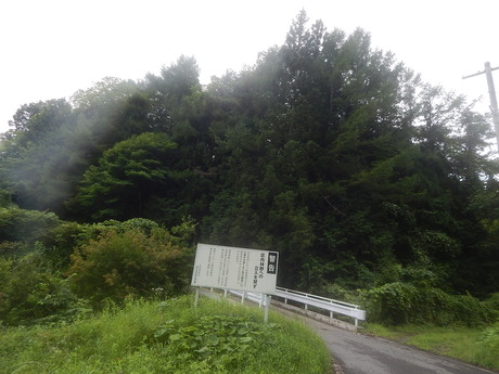 DSCN1195