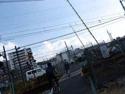 s-P7230815tawaramoto