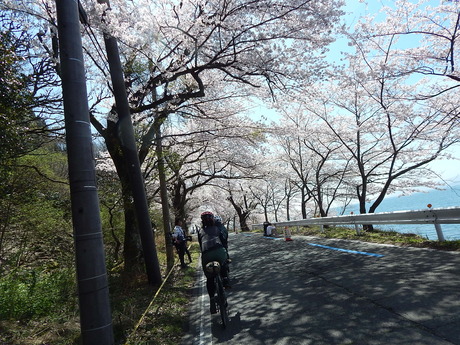 DSCN8831