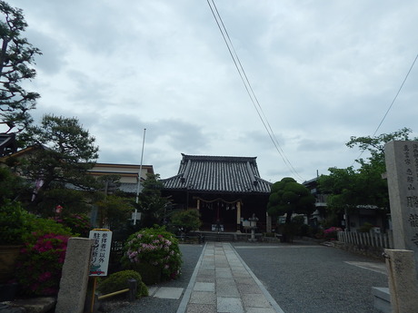 DSCN7469