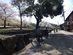 s-P4010204nara
