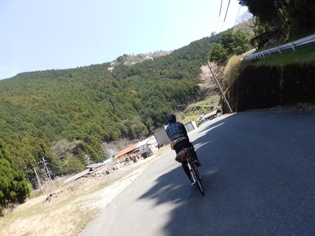 s-P4130140higashiyo
