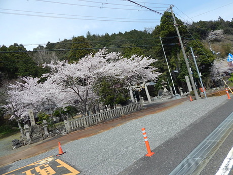 DSCN9003