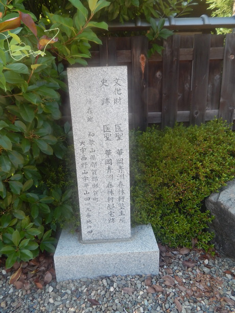 DSCN8507