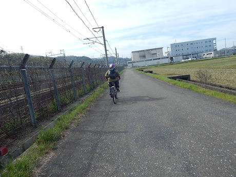 DSCN6734