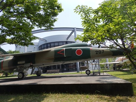 s-P6160425awaji