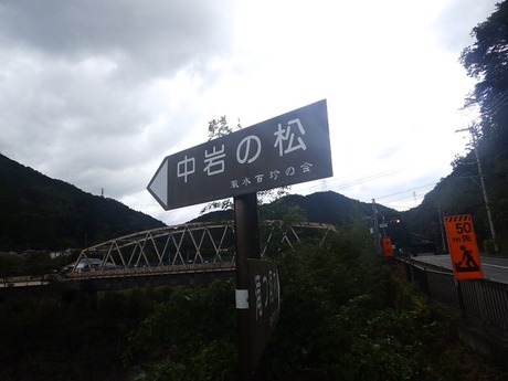 s-PA210086oosako