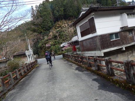DSCN7943