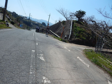DSCN7340