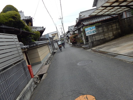 DSCN3254