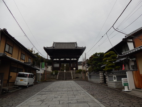 DSCN7424