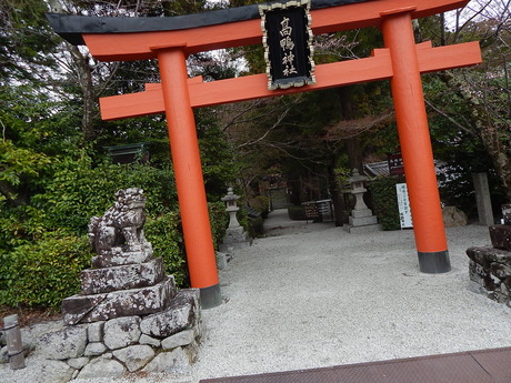 DSCN7519