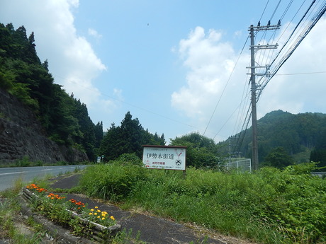 DSCN8979