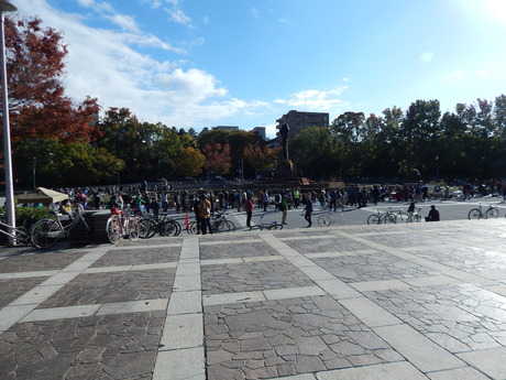 DSCN6534