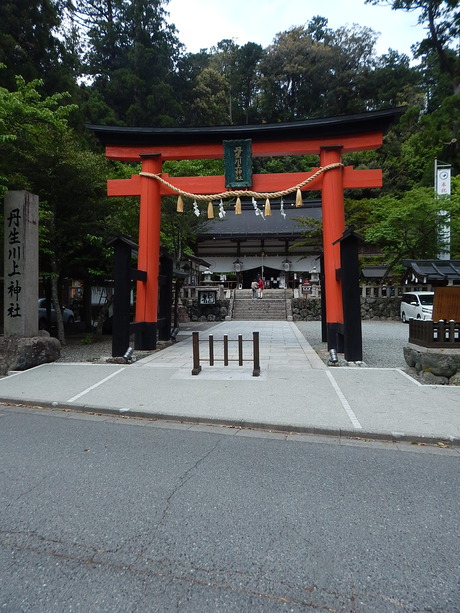 DSCN7686
