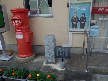 DSCN8975