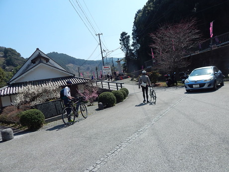 DSCN7262