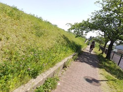 s-P4220199fushimi