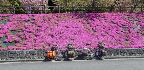 DSCN7071