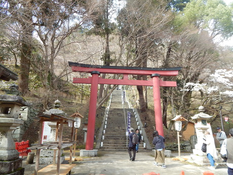 DSCN6420