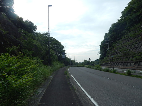 DSCN7801