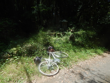 DSCN8713
