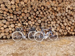 s-P9180811takabocchi