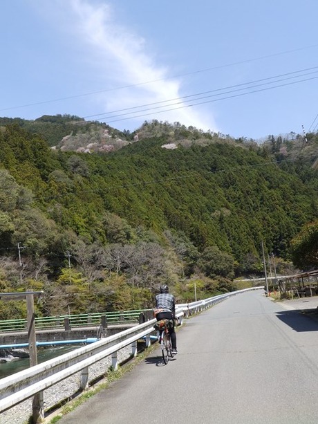s-P4130167higashiyo