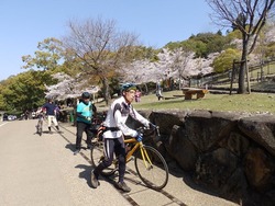 s-P4010205nara
