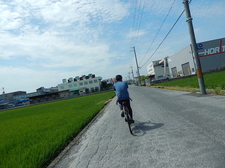 DSCN0317