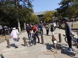 s-P4010181nara