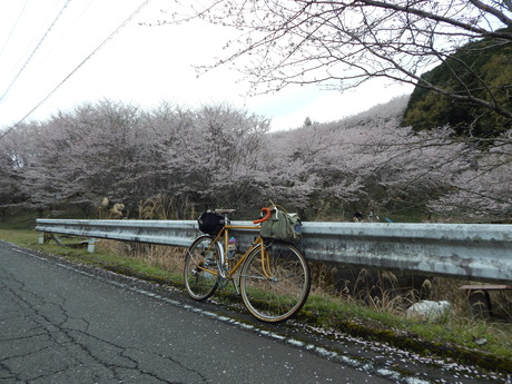 DSCN6181